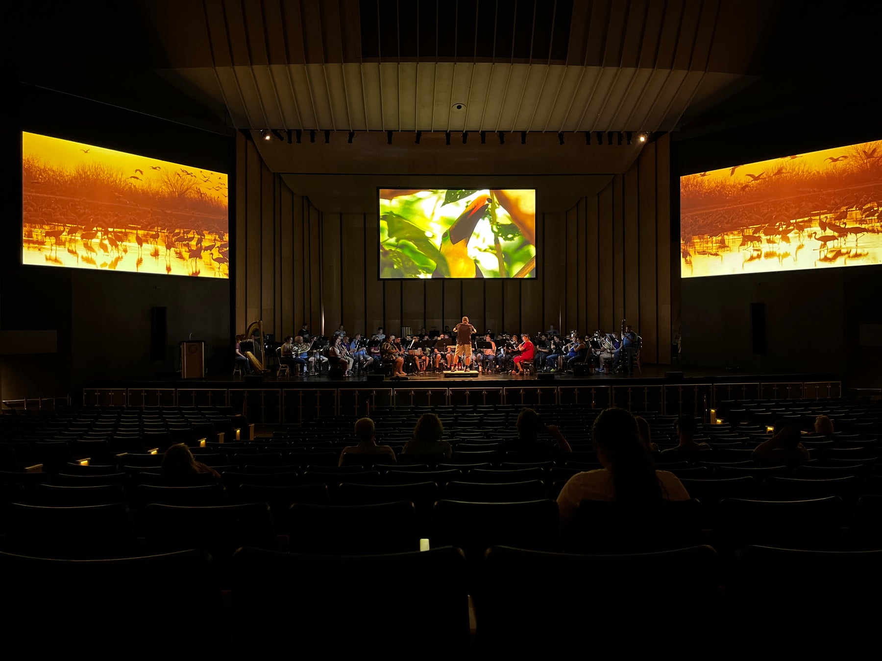 The Blue Marble: Julie Giroux and Ion Concert Media in Conversation