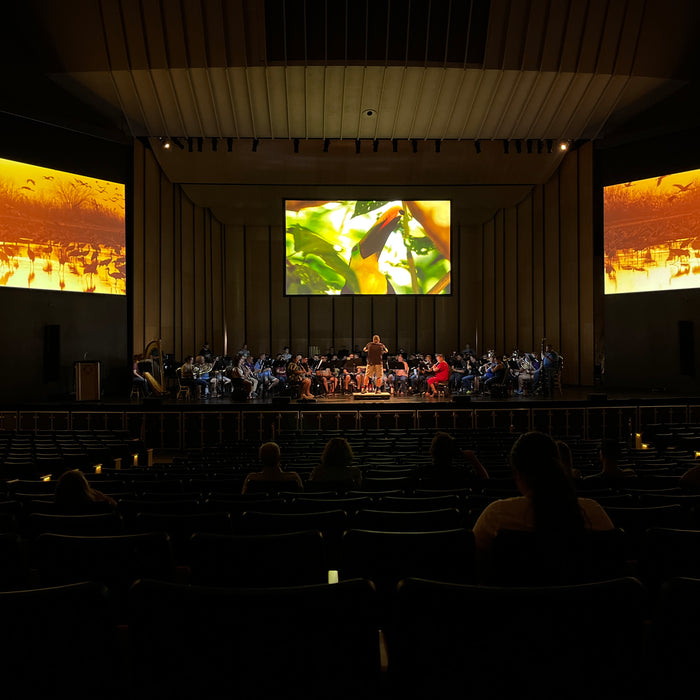 The Blue Marble: Julie Giroux and Ion Concert Media in Conversation